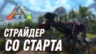 СТРАЙДЕР НА САМОМ СТАРТЕ в ARK GENESIS 2 ► ARK: Survival Evolved