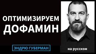 Используйте дофамин для преодоления прокрастинации и оптимизации усилий | Эндрю Губерман на русском