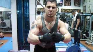 fitness mahmoud sarshane 2