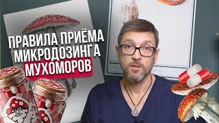 Правила приёма микродозинга мухомора | МухоморыЧ