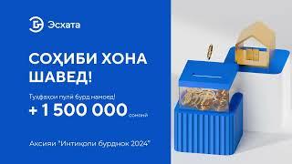 Интиколи бурднок 2024