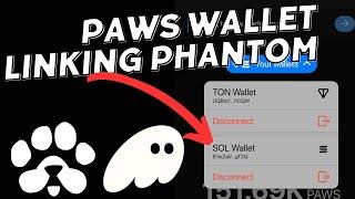 How To Connect Paws Airdrop To Phantom Wallet