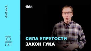 Сила упругости. Закон Гука | Физика