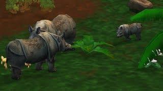 Zoo Tycoon 2: Endangered Species Campaign - Photo Safari - The Javan Rhinoceros