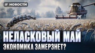 Неласковый май: экономика замерзнет? Индекс Мосбиржи идет на 8500 / Новости финансов