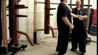 Master Jerry Cook Chinese Boxing 18 set Budda Palm / Wing Chun form6