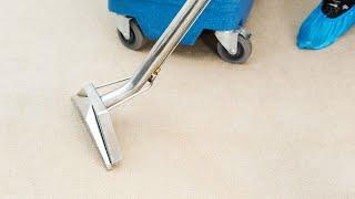 Professional Carpet Cleaning Service in London | Fantastic Services