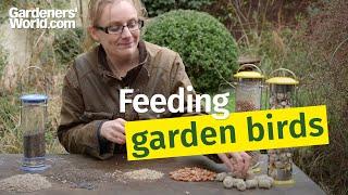 Feeding garden birds