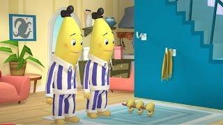 The Babysitting Bananas  | Bananas In Pyjamas