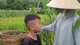 A farmer's love for an orphan boy