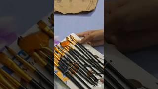 unboxing paint brush set /12 painting brush #youtubeshorts #unboxing