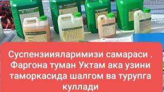 Фаргона тумани Водиллик  Уктам акамиз уз таморкаларида шалгом ва турупга суспенциялвримиз куллади