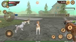 Не играй в dog sim в 3.00 ночи страшилка