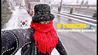 -10C DƏRƏCƏDƏ UNİVERSİTETƏ GETMƏK!!!UNI VLOG,KOREYA DILI TERCUMECILIK