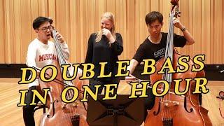 We Try Learning Double Bass in 1 Hour