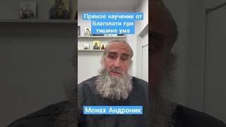 Прямое научение от Благодати при тишине ума | Монах Андроник | Афон