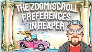 The Zoom/Scroll Preferences in REAPER