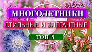  8 МОДНЫХ Растений для Сада 