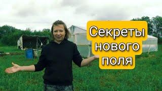 Новое поле для сада и огорода Светланы Самойловой 