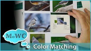 How to Match Colors and Values in Watercolor
