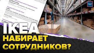 IKEA набирает сотрудников? | Почему растет число вакансий от ИКЕА? | Актуальный репортаж