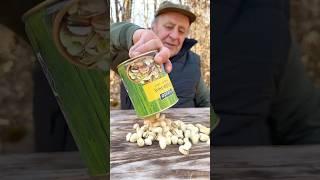 Survival Skills: Made a Stove for Hiking and Camping ️ #survival #camping #bushcraft #outdoors