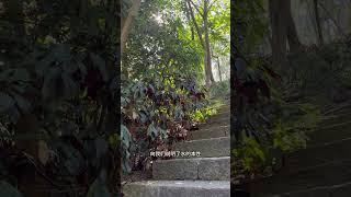 《水》李小龙 Water, Bruce Lee