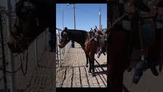 1 Acre with Amazing Mountain Views and Power Close in Deming, NM! #deming #newmexico