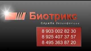 Служба Дезинфекции | уничтожение клопов Люберцы|БИОТРИКС| 8 903 002 82 30