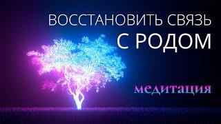 Медитация связь с земным Родом. Получи поддержку и силу своих Предков. Исцеление в Родовом Древе