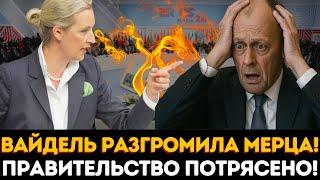 ШОК! Вайдель разгромила Мерца в эфире – НИКТО НЕ ОЖИДАЛ такой атаки!