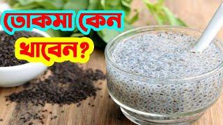 How To Make Easy Tokma Seed Juice - tokma seeds benefits