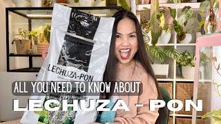  Why I moved 200+ plants to LECHUZA-PON | Honest Review | Repotting different substrate to PON 