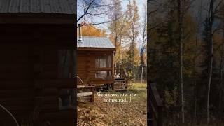 Life on The Frontier | Homesteading in Alaska