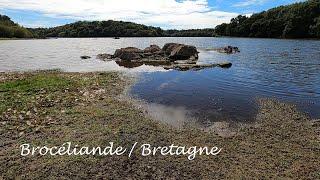 In der Brocéliande / Bretagne (HD)