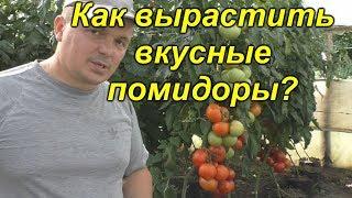 Такие томаты никогда вкусными не будут!