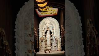 This is not Mudiali Durga Puja This is Chandannagar Jagadhatri Puja #chandannagar #shorts #kolkata