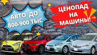 ЦЕНЫ на авто из Японии ДО 800-900 тыс. МАЙ 2022. Аукционы вам не авторынок. Зеленый Угол отдыхает.