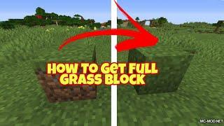 How to Get Full Grass Block in Minecraft Java || BearWhiteMC