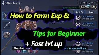 Lineage 2 Revolution How to Farm EXP & Lvl up Fast + Tips for Beginner