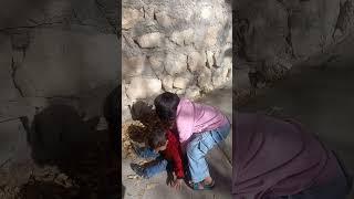 فقیریpoor