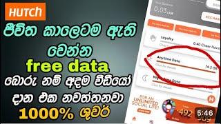 free data sinhala / free data sinhala 2024 / hutch free data 2024 sinhala / dinaya technic