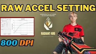 800 Dpi Best Raw Accel Setting For Valorant | The BEST Raw Accel Guide