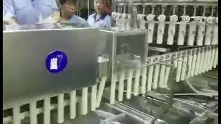 Ice pop packing machine