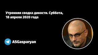 Утренняя сводка дикости. Суббота, 18 апреля 2020 года