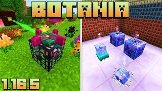 ГАЙД ПО BOTANIA 1.16.5 #11 АРТЕФАКТЫ ЭНДЕР МИРА