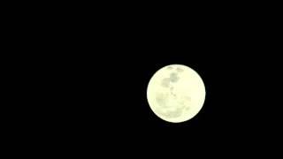 Timelapse - Miami Moon