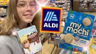 Yes Please!!!    Weekly ALDI Grocery Haul December 2024