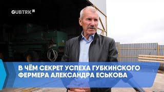 В чём секрет успеха губкинского фермера Александра Еськова