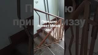 передаю привет Миззу Лис